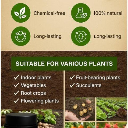 Soil Activator 100 gm Pack of 1